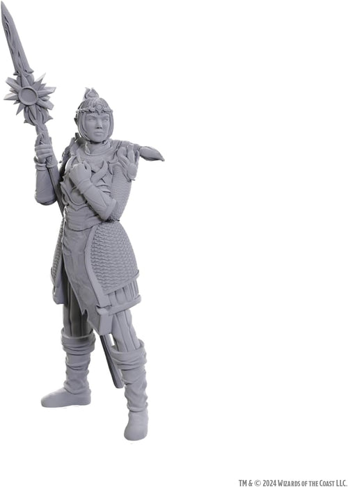 D&D Nolzur's Marvelous Miniatures: Baldur's Gate 3 (Lae'zel & Shadowheart)