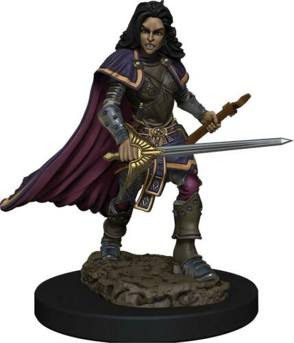 Pathfinder Battles Premium Painted Figure: Human Bard - Female - W3