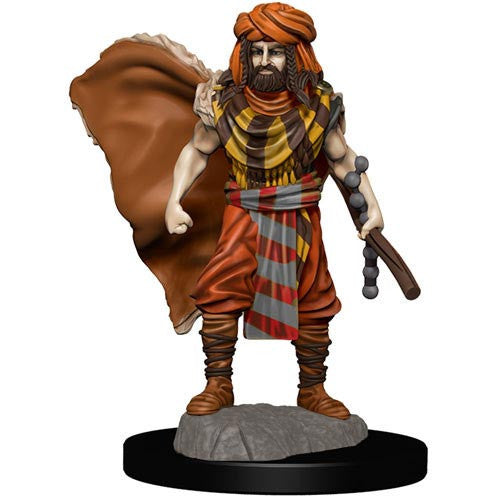 D&D Premium Painted Figure: Human Druid - Male - W4